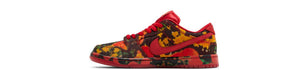 Nike SBDunk Low Pro The Wizard of Oz